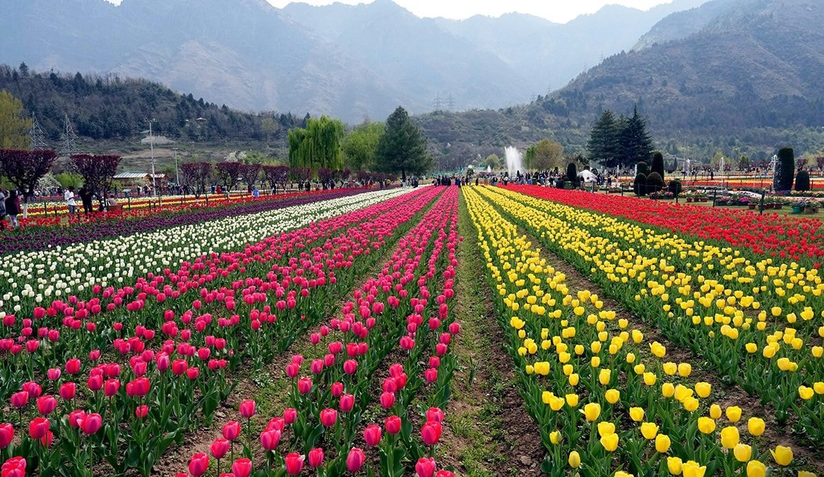 Srinagar